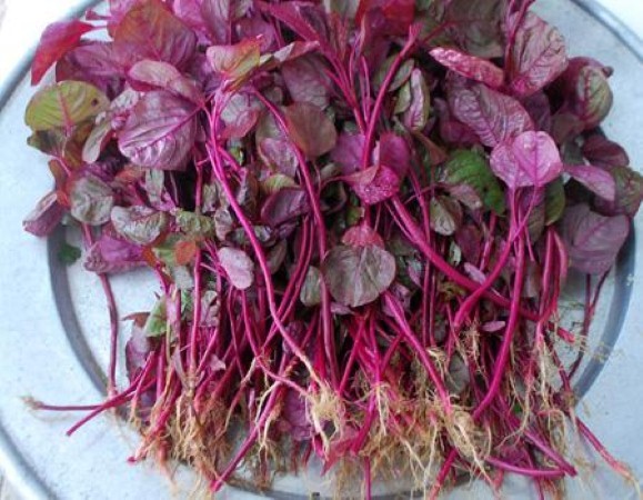 Rau răm, mồng tơi, rau dền Việt Nam bỗng đắt như vàng trên chợ Amazon